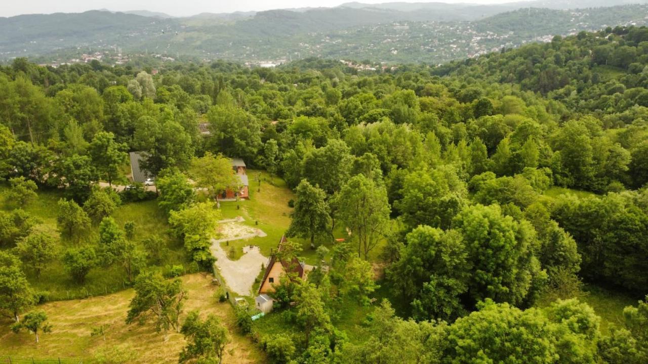 Willa Casutele Din Poienita Comarnic Zewnętrze zdjęcie
