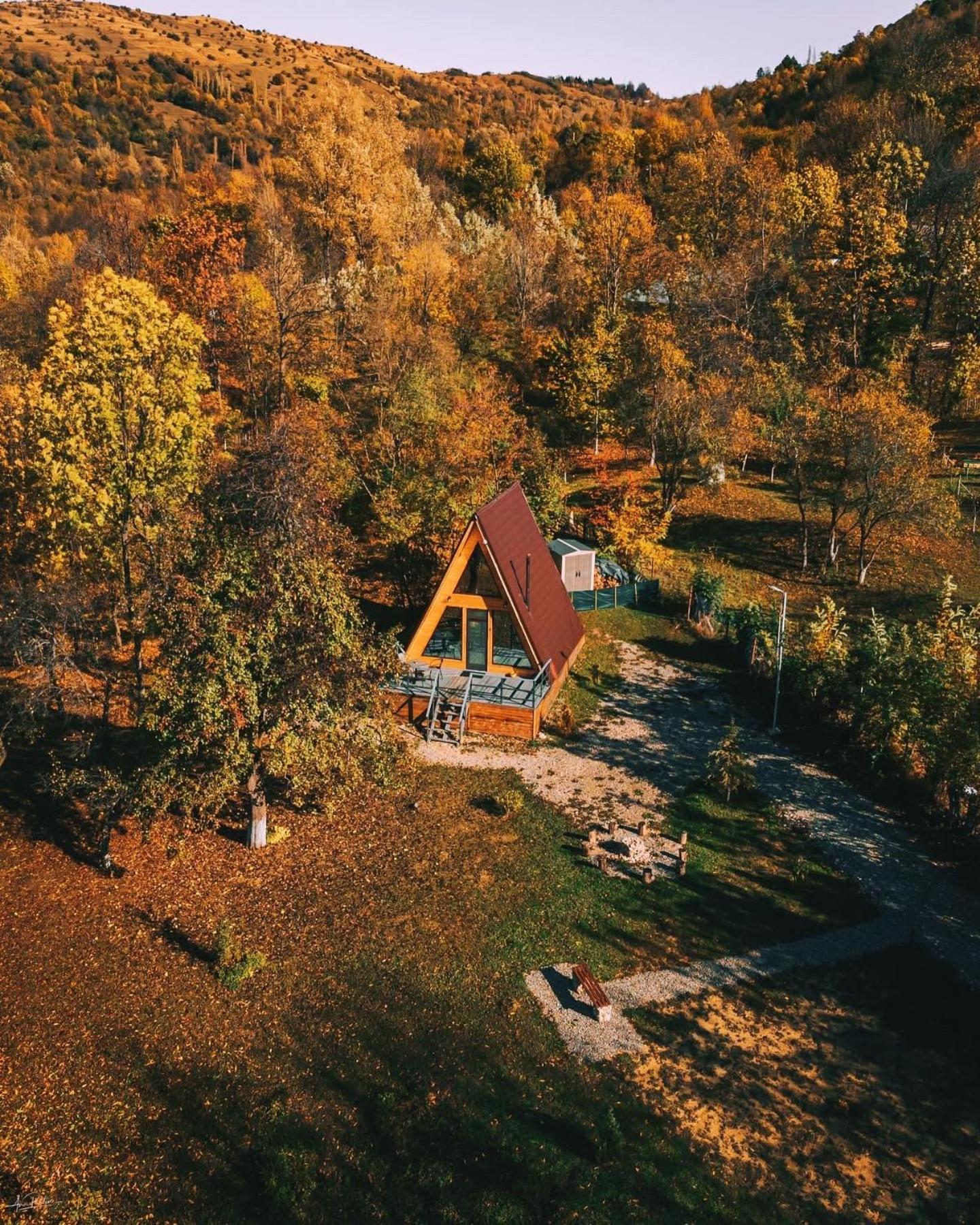 Willa Casutele Din Poienita Comarnic Zewnętrze zdjęcie